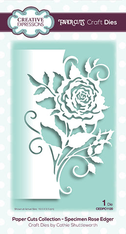 Specimen Rose Edger Paper Cuts Collection Die By Cathie Shuttleworth Creative Expressions CEDPC1120