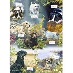 Man's Best Friend 1000 Piece Jigsaw Puzzle By Otter House 75833