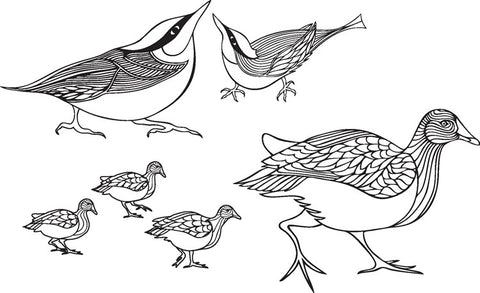Claritystamp Moorhens & Nuthatches Unmounted Clear Stamp Set By Claritystamp