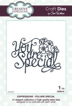 You Are Special Expressions Craft Dies by Sue Wilson Creative Expressions CED5412