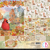 Into The Wild Autumn Patterns Pad 12x12 Paper Pad BY Ciao Bella CBT067