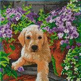 Floral Pup 30x30cm Canvas Crystal Art Kit By Craft Buddy CAK-A182M