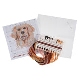 Golden Retriever Dog Cross Stitch Stitch You Own Kit By Trimits GCS125