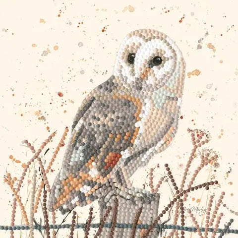Oswald Barn Owl Dimond Art Card Kit By Bree Merryn Fine Art By My Sparkle Art Creative World of Craft BMSA033