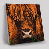 Highland Cow 30 x 30cm Canvas Crystal Art Kit By Craft Buddy CAK-A165M
