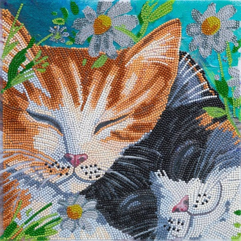 Sleepy Cats 30x30cm Framed Crystal Art Kit By Craft Buddy CAK-A170M