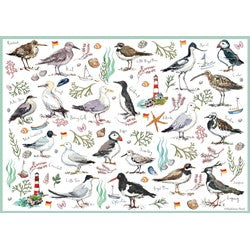 Madeleine Floyd Seabirds 500 Piece Jigsaw Puzzle By Otter House 75510