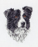 Border Collie Counted Cross Stitch Kit By Anchor PCE219