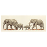Elephant Stroll Counted Cross Stitch Kit By Anchor PCE0732