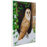 Snowy Owl 30 x 30cm (Medium) Framed Crystal Art Kit By Craft Buddy CAK-A121M