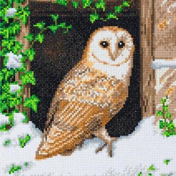 Snowy Owl 30 x 30cm (Medium) Framed Crystal Art Kit By Craft Buddy CAK-A121M