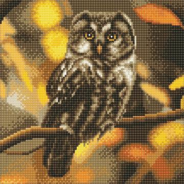 Tawny Owl 30 x 30cm (Medium) Framed Crystal Art Kit By Craft Buddy CAK-A97M