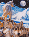 The Sentinel Wolves by Claudia Hahn 40 x 50cm (X-Large) 40x50cm Crystal Art Kit By Craft Buddy CAK-CH2