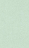 Pastel Green Bersan Premium Pearlescent card 250gsm 10 Sheets