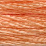 Orange - 3825 DMC Mouliné Stranded Cotton Embroidery Tread By DMC