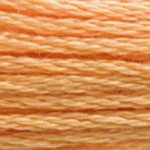 Orange - 3854 DMC Mouliné Stranded Cotton Embroidery Tread By DMC