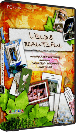 Wild and Beautiful CD ROM